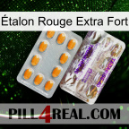 Étalon Rouge Extra Fort new12